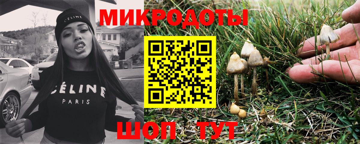 Рубцовск  Галлюциногенные грибы мицелий  Вход с VPN  Галлюциногенные грибы прущие грибы 
